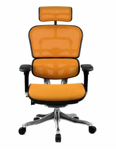 Кресло компьютерное ERGOHUMAN PLUS, эргономичное, оранжевого цвета
