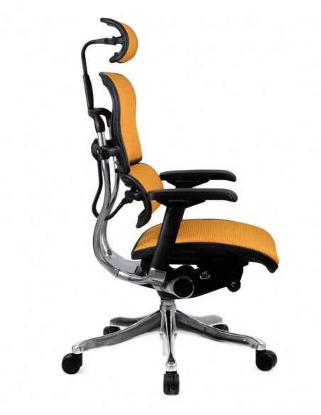 Кресло компьютерное ERGOHUMAN PLUS, эргономичное, оранжевого цвета