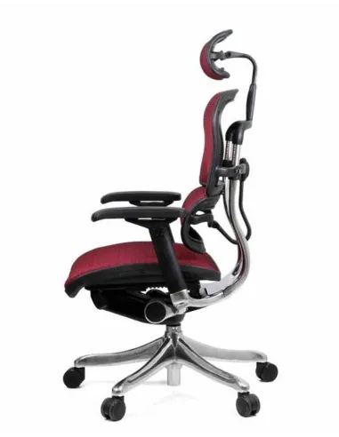 Крісло комп'ютерне ERGOHUMAN PLUS, ергономічне, бордового кольору