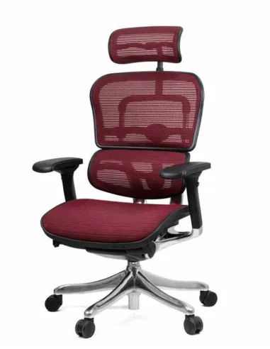 Крісло комп'ютерне ERGOHUMAN PLUS, ергономічне, бордового кольору
